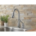 Delta Faucet 9978-AR-DST
