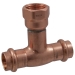 Apollo Valves 10066588