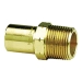 Apollo Valves 10075828