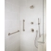 Delta Faucet T17259-SS