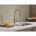 Delta Faucet 9159-CZ-DST