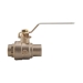 Watts 88005700