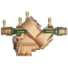 Watts F391010